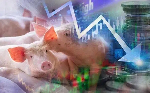 配资炒股平台：近期猪强势不断上涨 未来猪市场适合投资吗？
